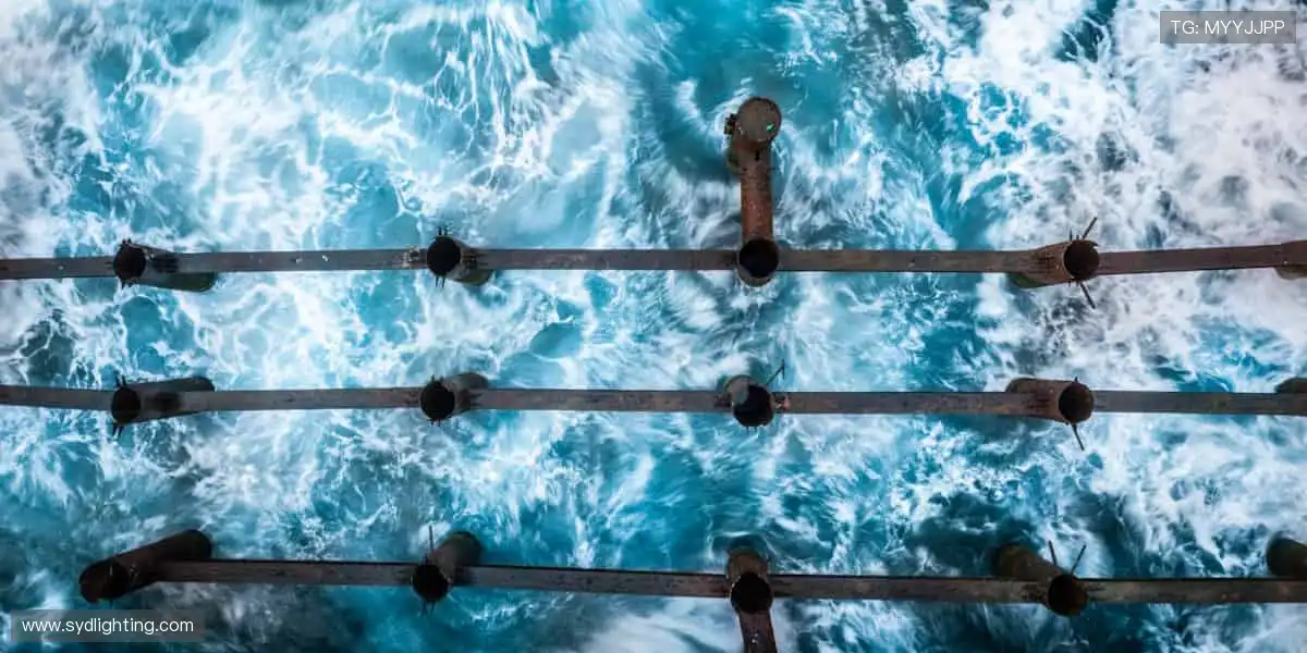 🎁 个性周边,定义你的运动态度!